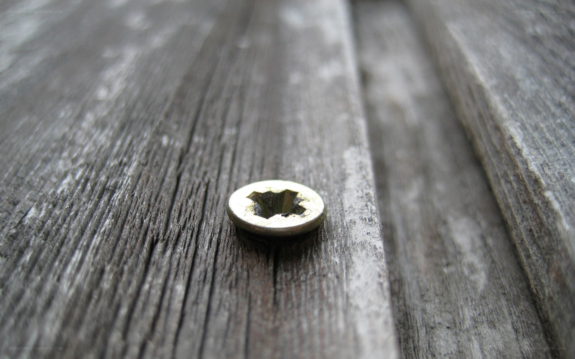screw on weathered wood