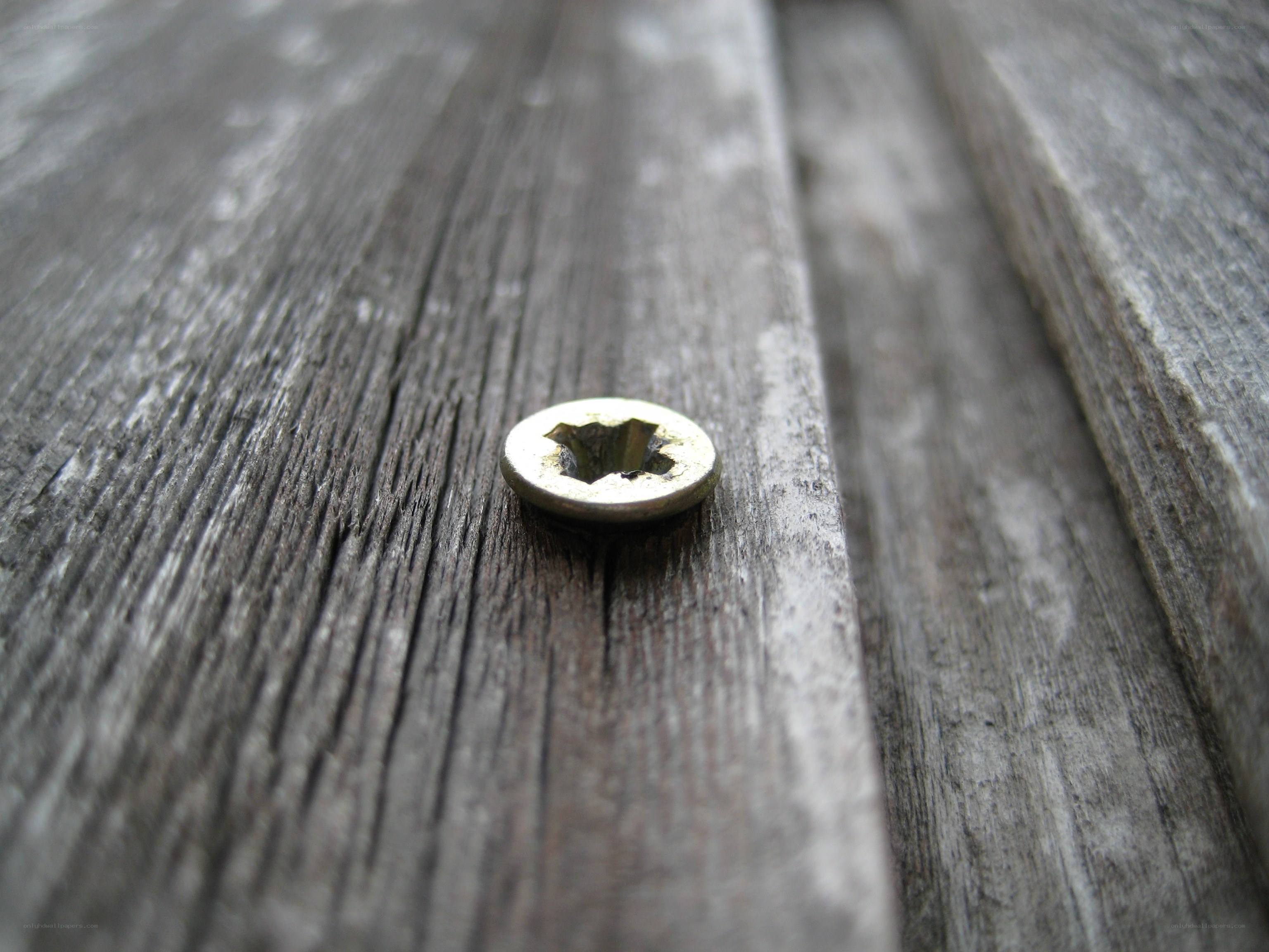 screw on weathered wood