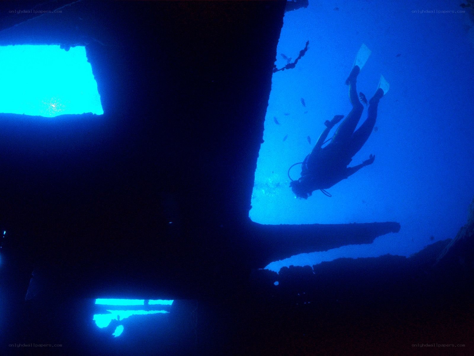 Scuba diver exploring shipwreck