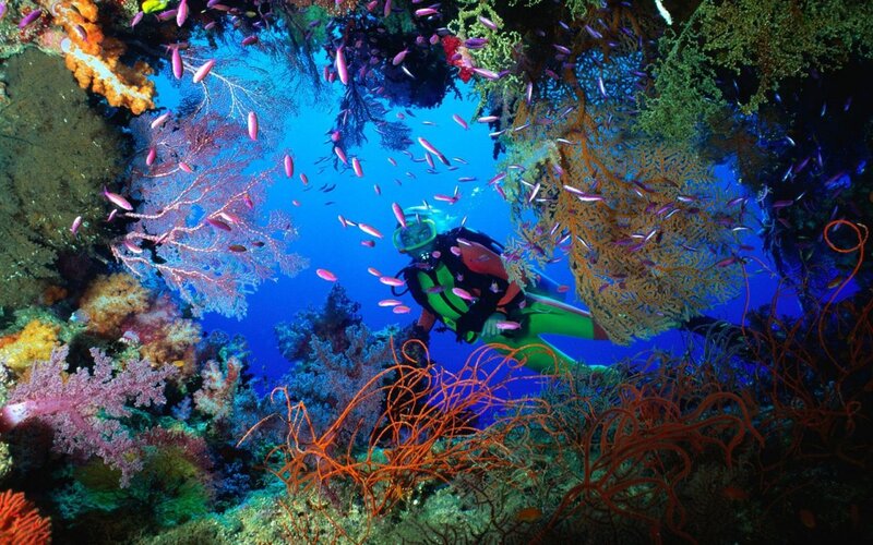 Scuba Diver in Coral Reef — Blue, Vibrant