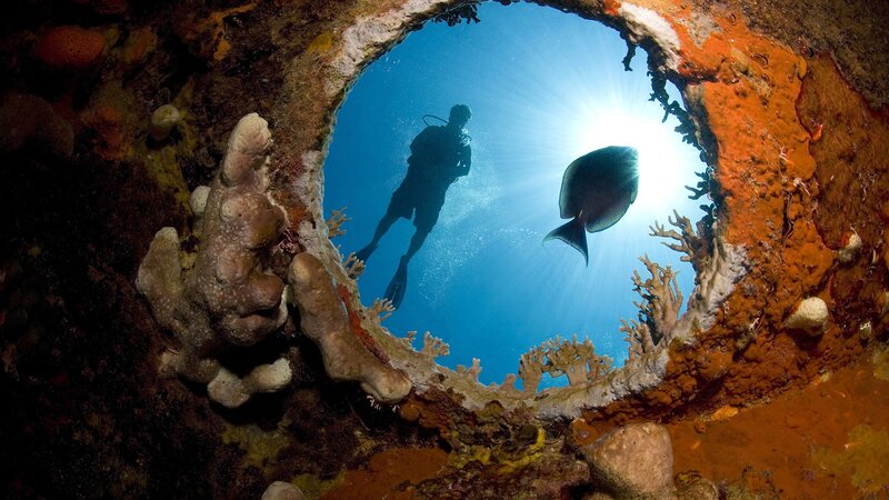 Scuba diver in coral tunnel