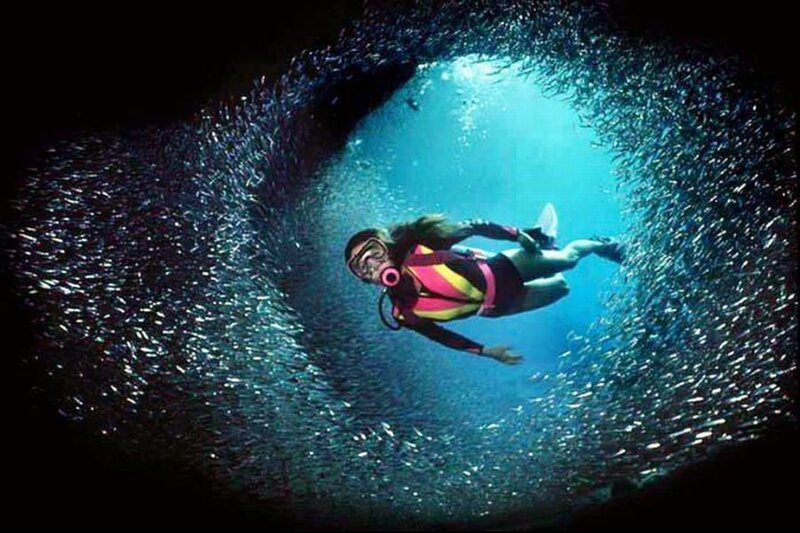 Scuba Diver in Fish School
