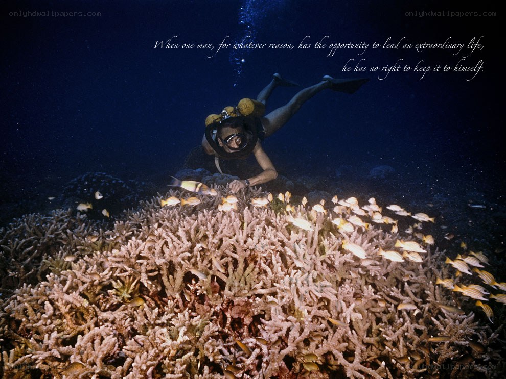 Scuba diver on coral reef