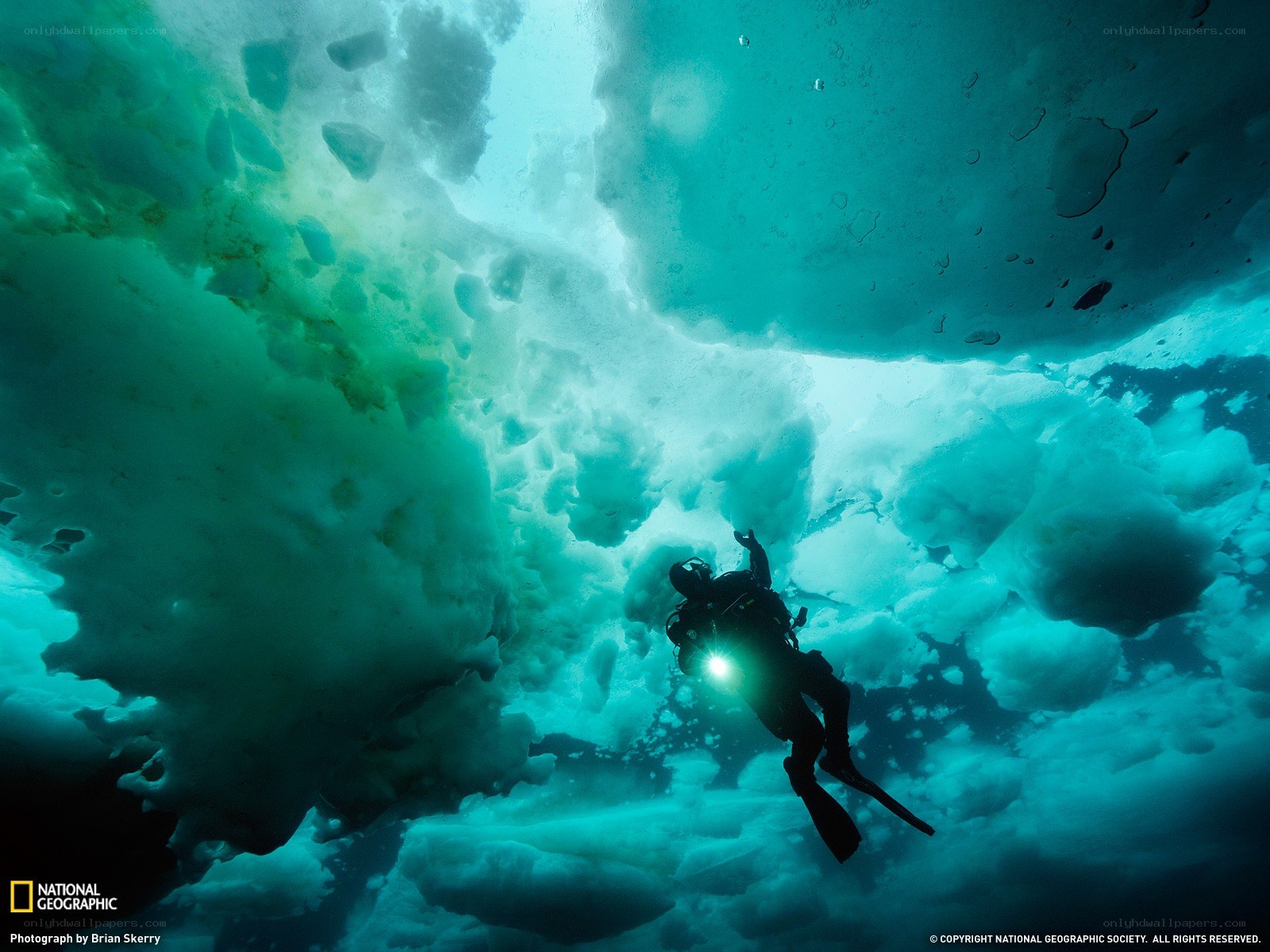 Scuba diver under ice