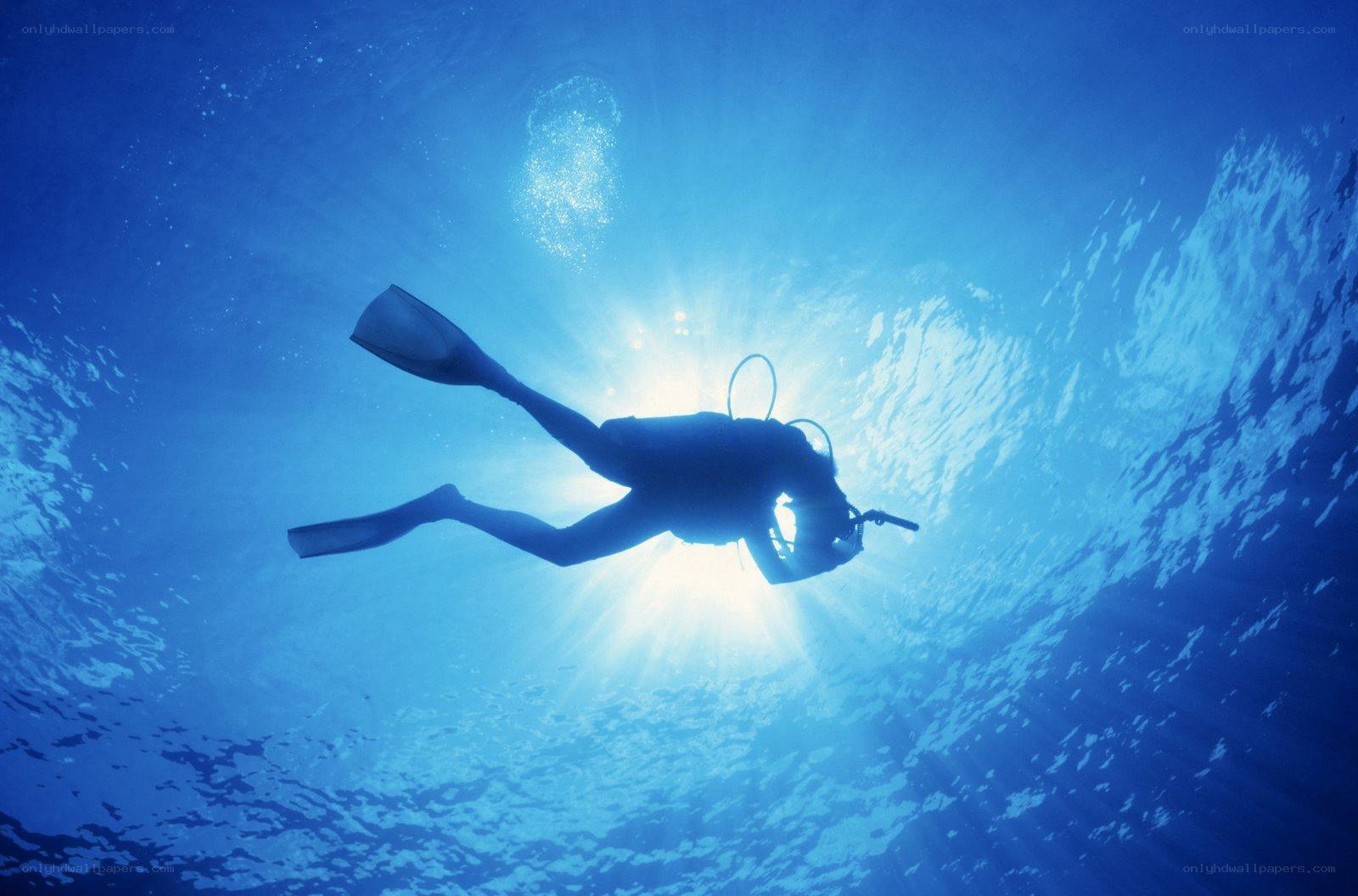 scuba diver underwater