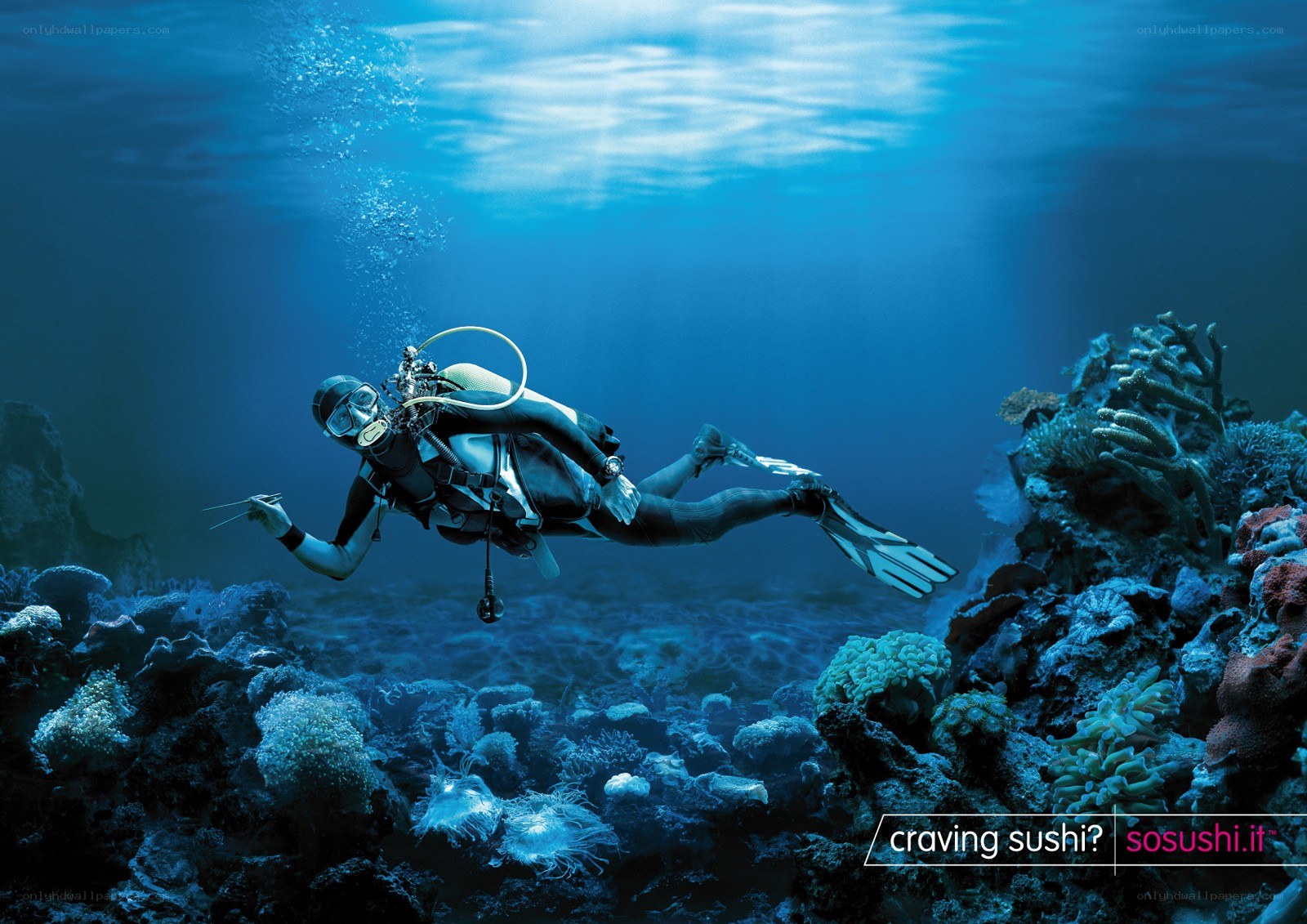 scuba diver underwater
