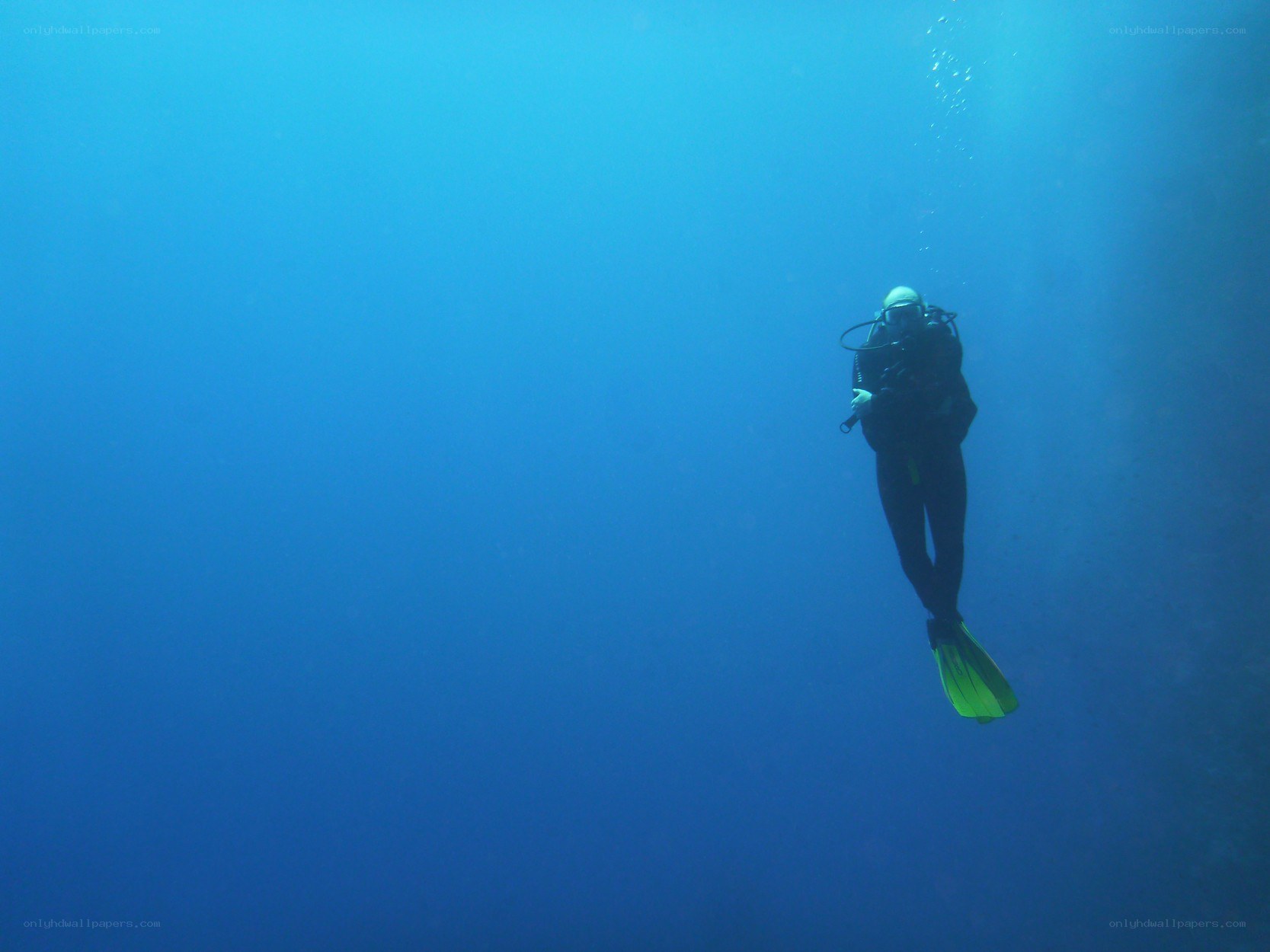 scuba diver underwater
