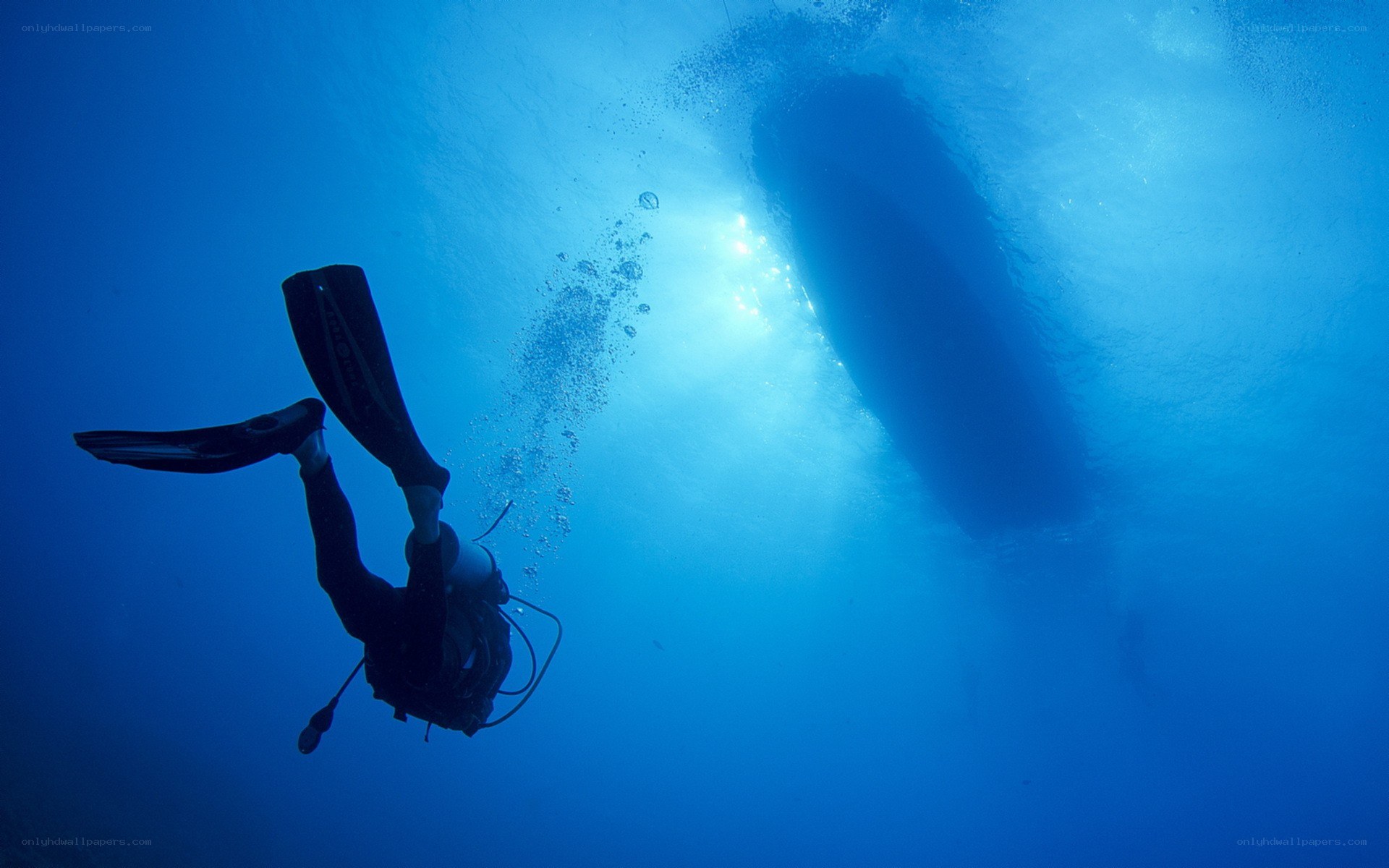 scuba diver underwater
