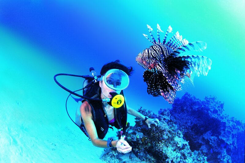 scuba diver with lionfish