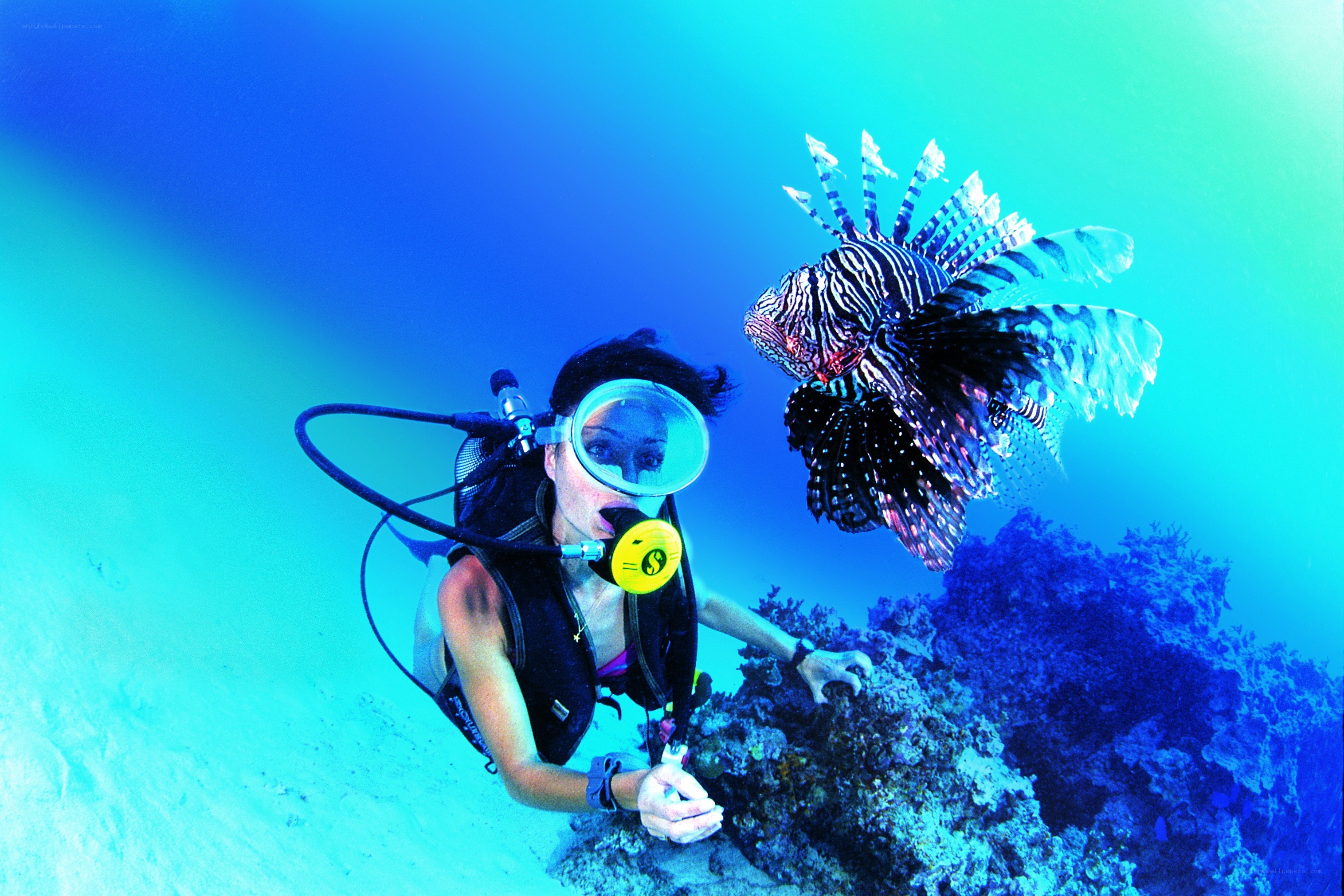 scuba diver with lionfish