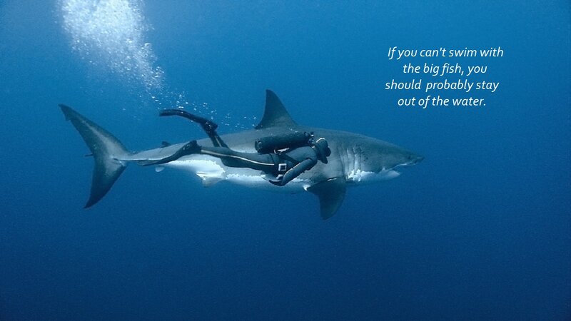 Scuba Diver with Shark — Blue, Dramatic, Photograph