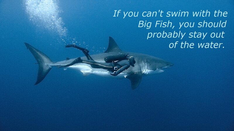 Scuba Diver with Shark