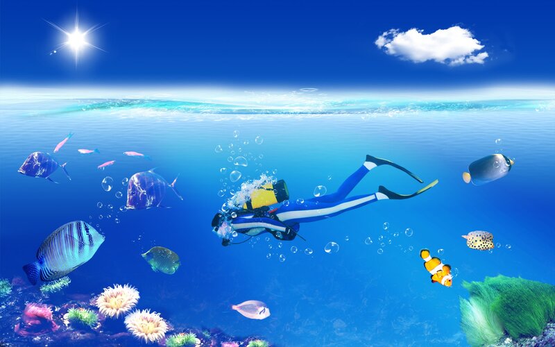 scuba diver with tropical fish