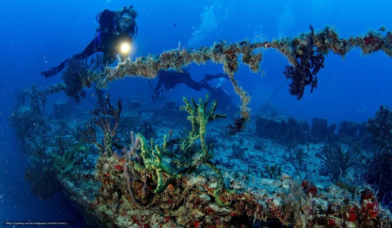 Scuba divers explore shipwreck
