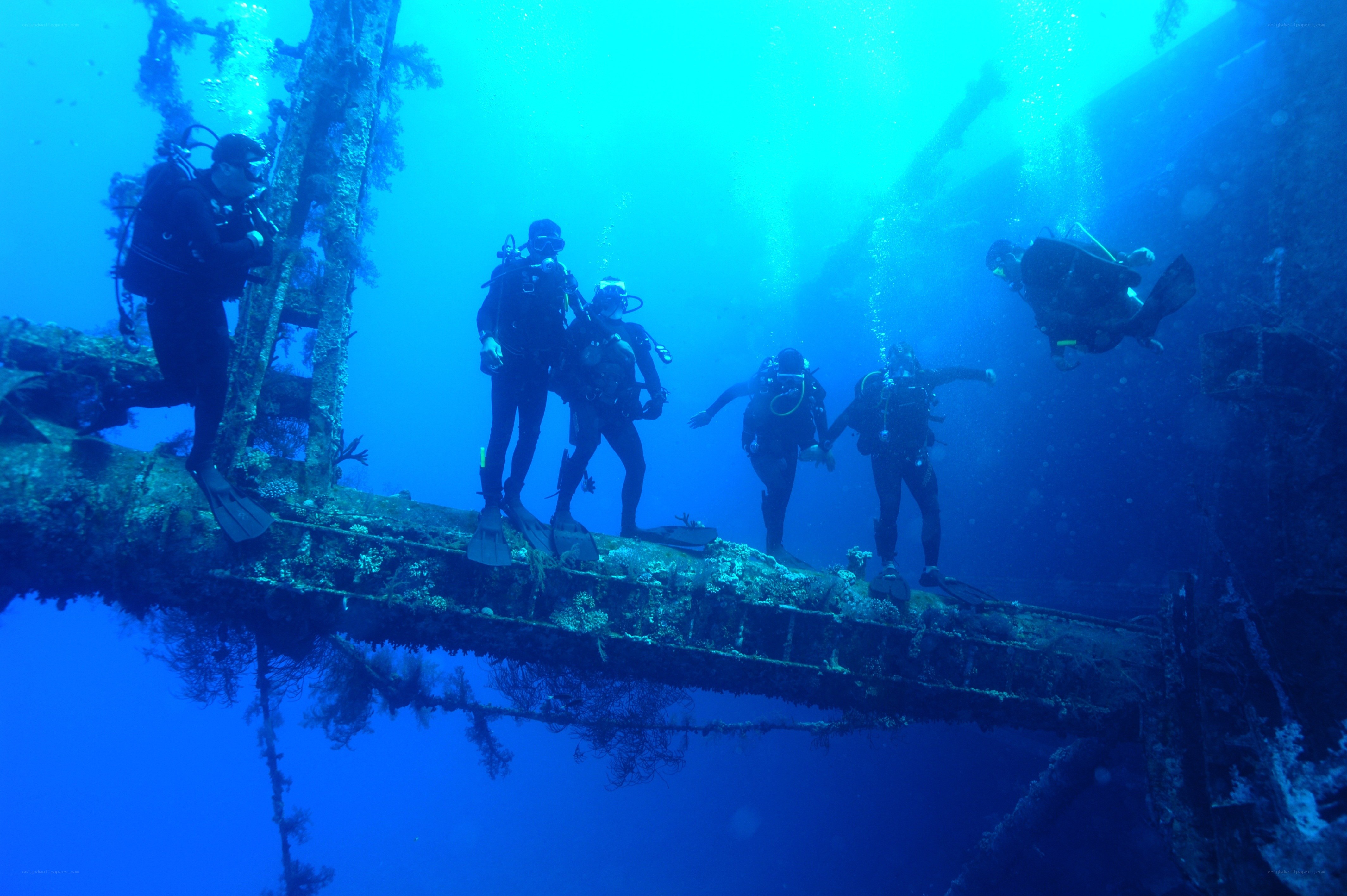 Scuba divers exploring shipwreck