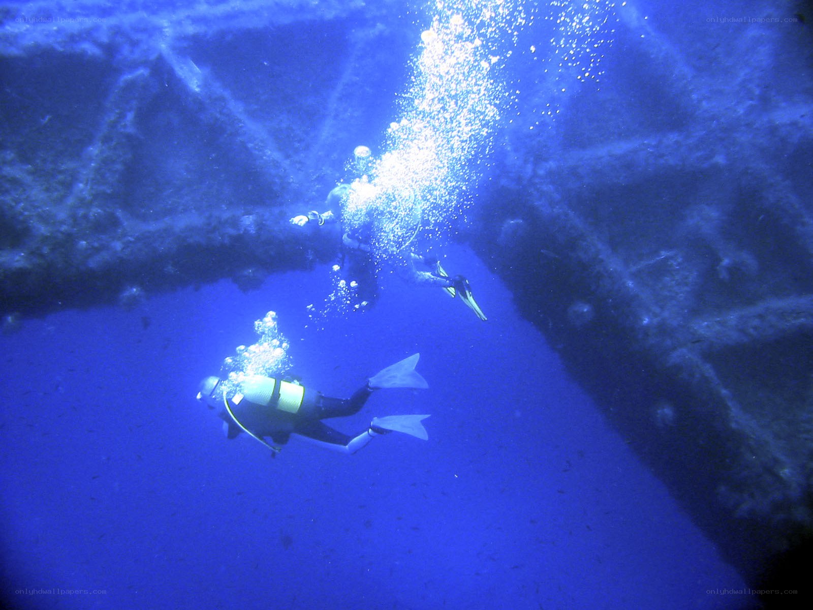 Scuba divers exploring shipwreck