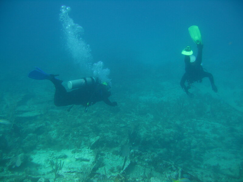 Scuba divers exploring underwater