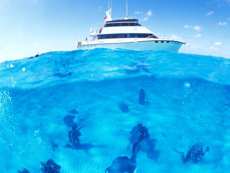 Scuba divers near a tour boat