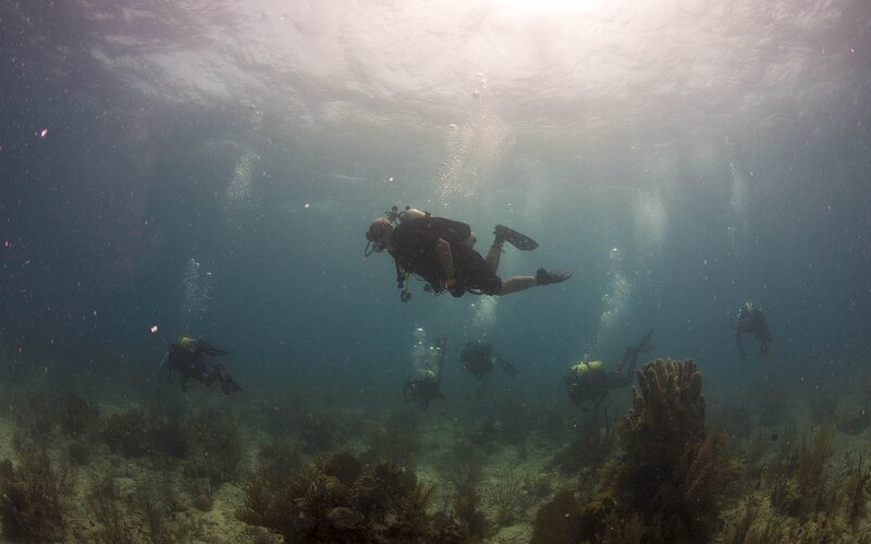 Scuba Divers Underwater — Blue, Serene
