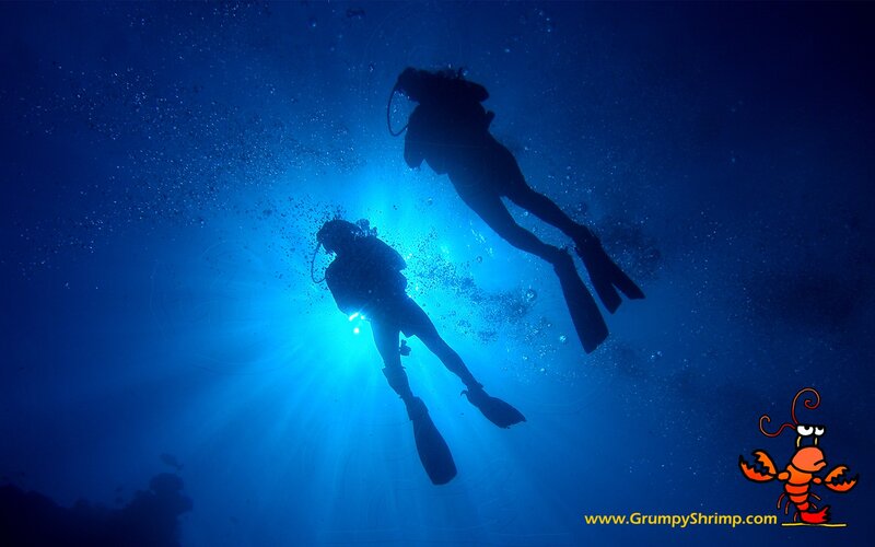 Scuba Divers Underwater — Blue