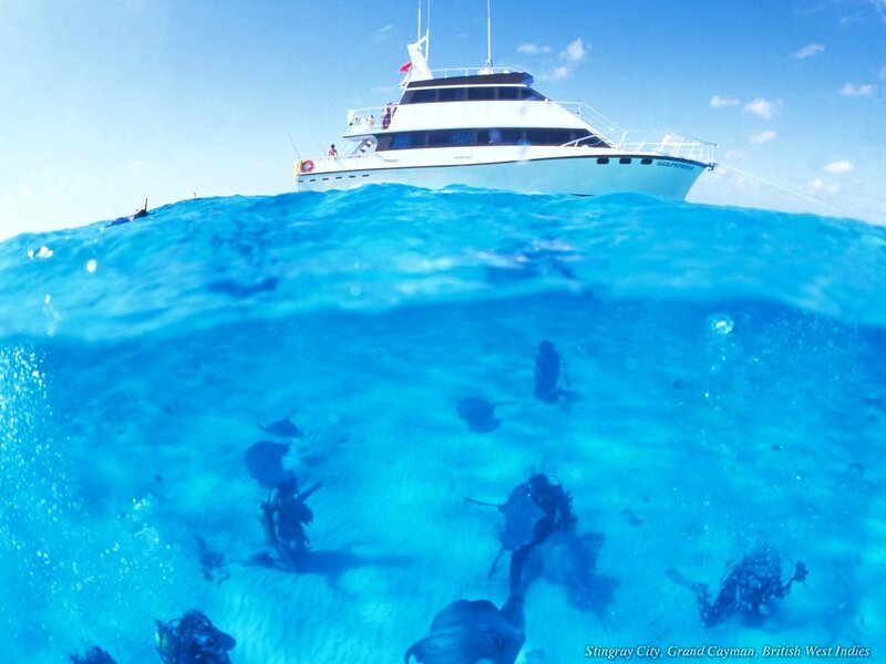 Scuba Divers Underwater