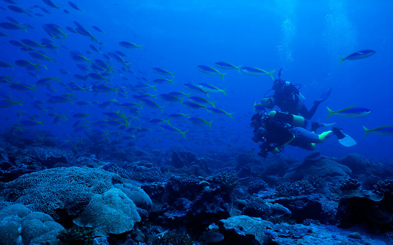 Scuba Divers with Fish — Blue