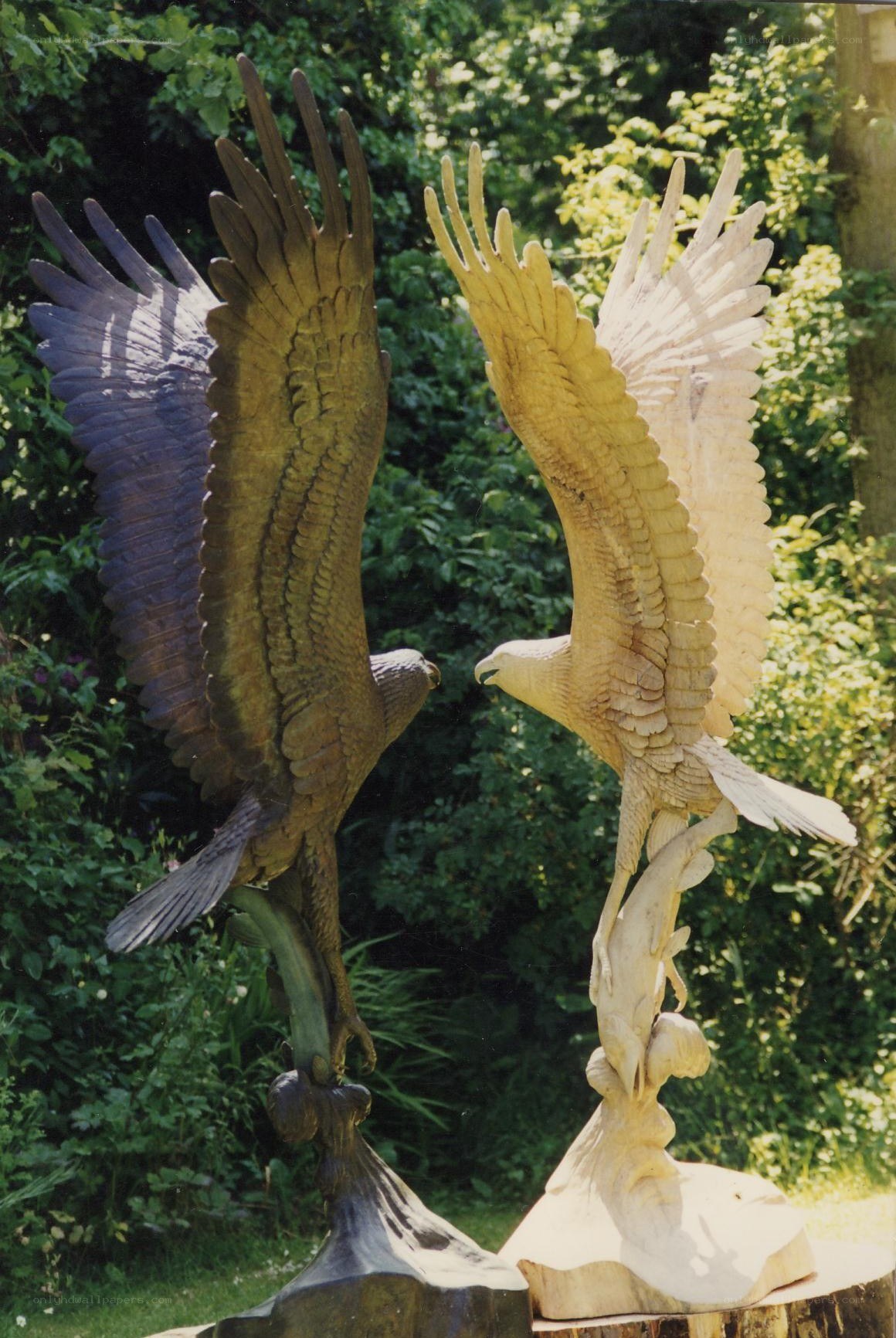 Sculpted eagles in garden
