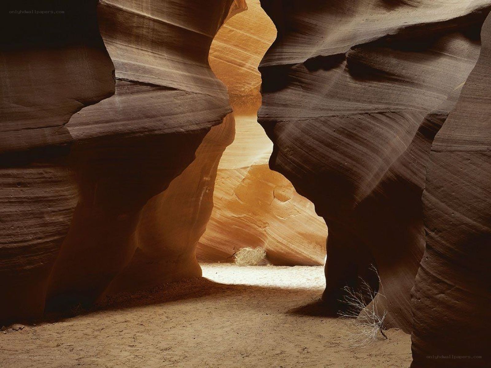 Sculpted sandstone canyon