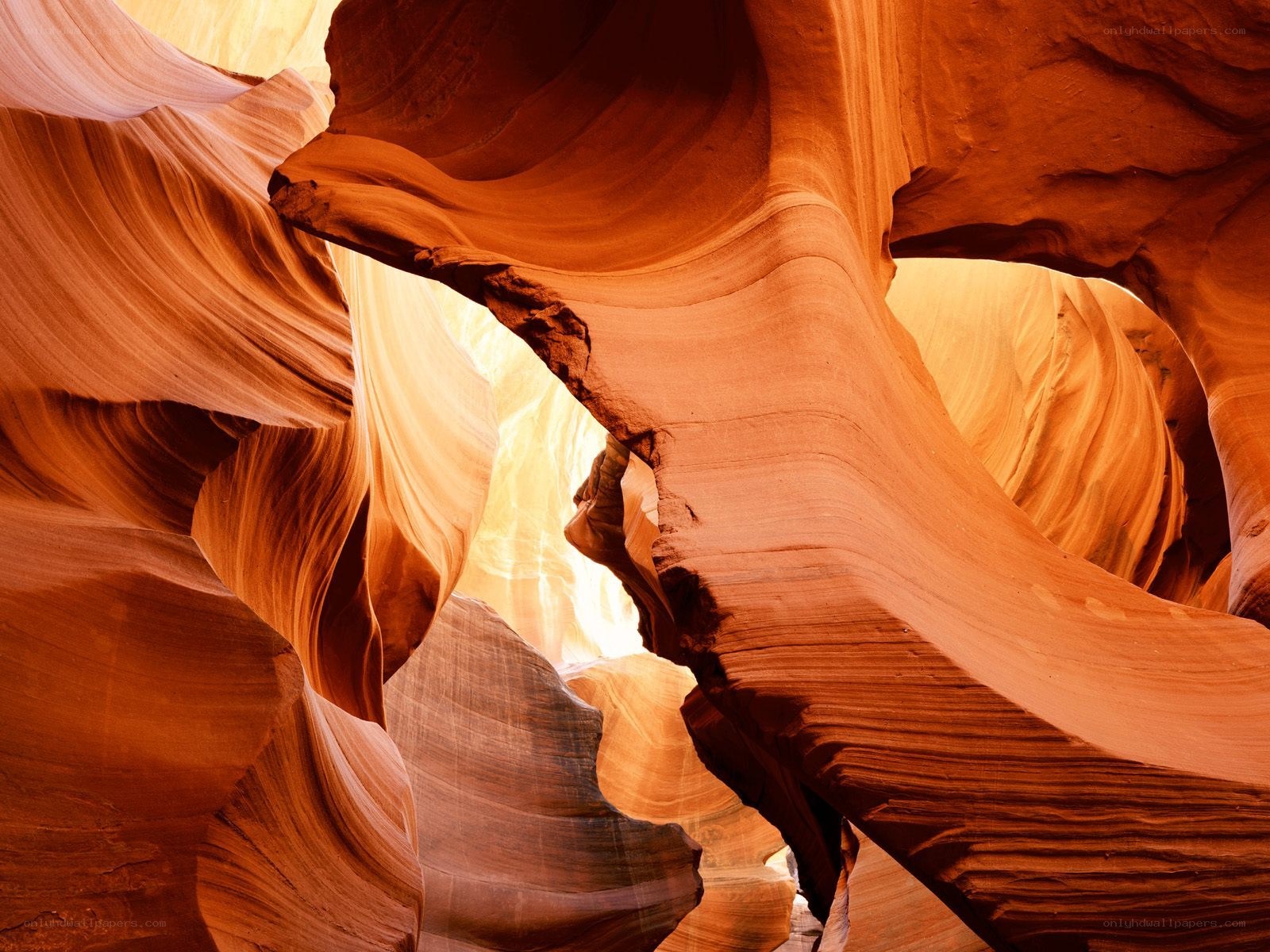 Sculpted sandstone canyon