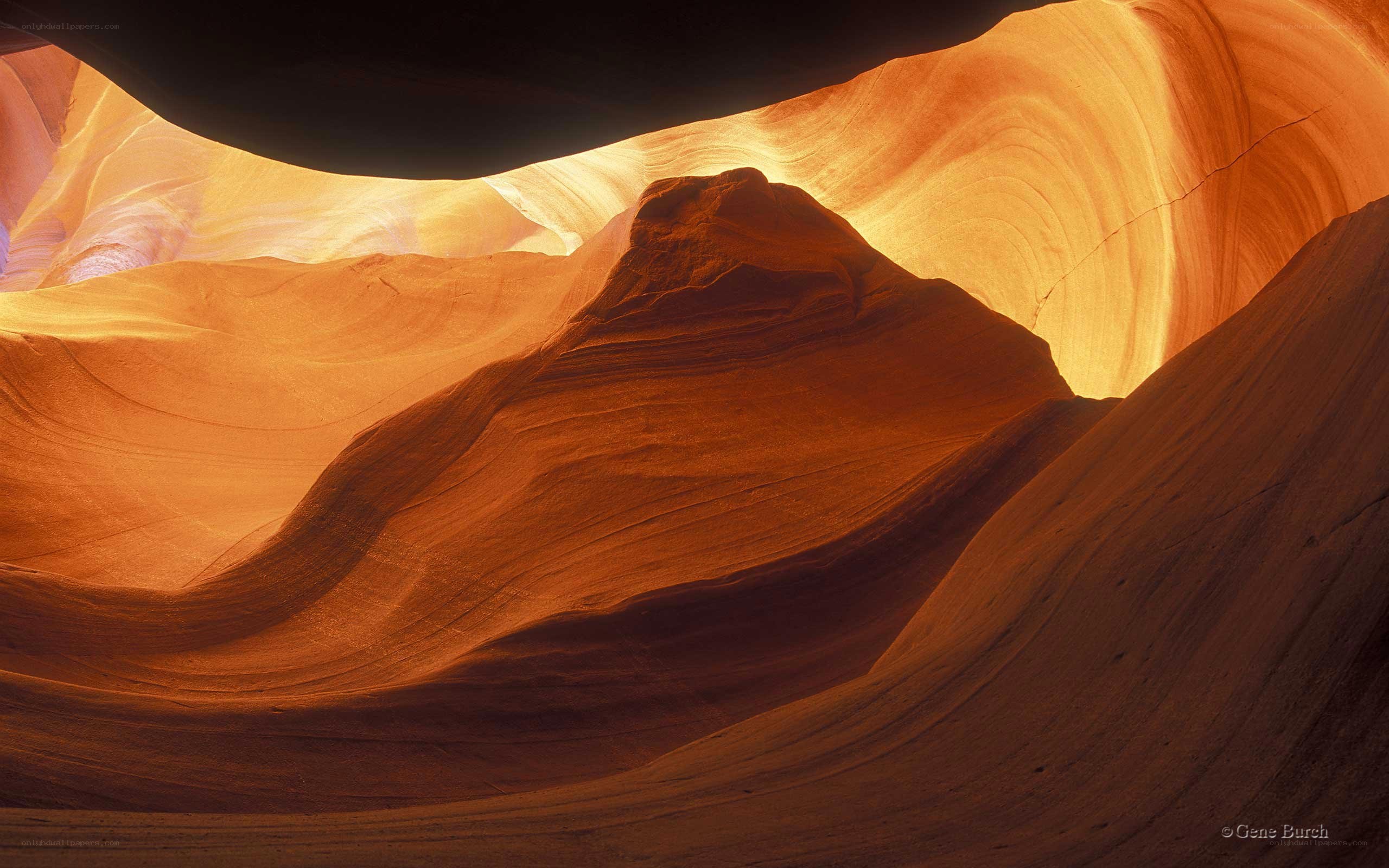 Sculpted sandstone canyon