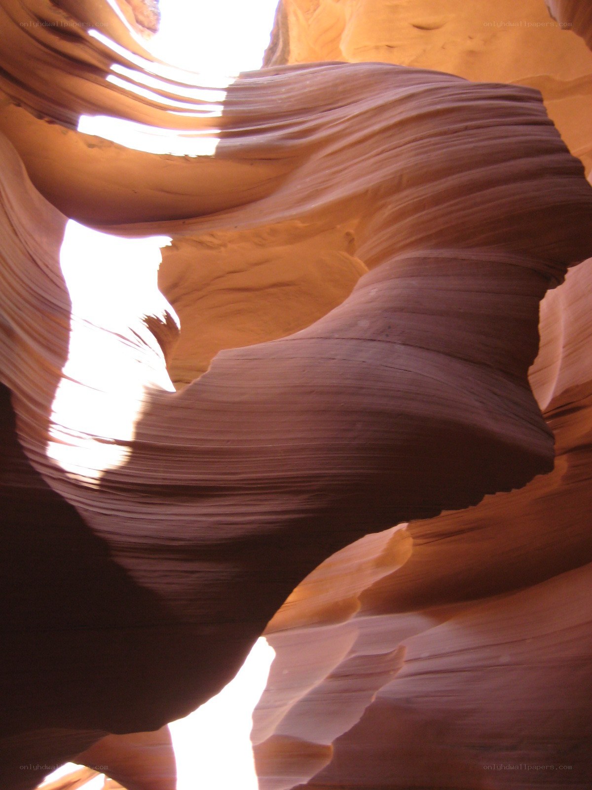 Sculpted sandstone canyon