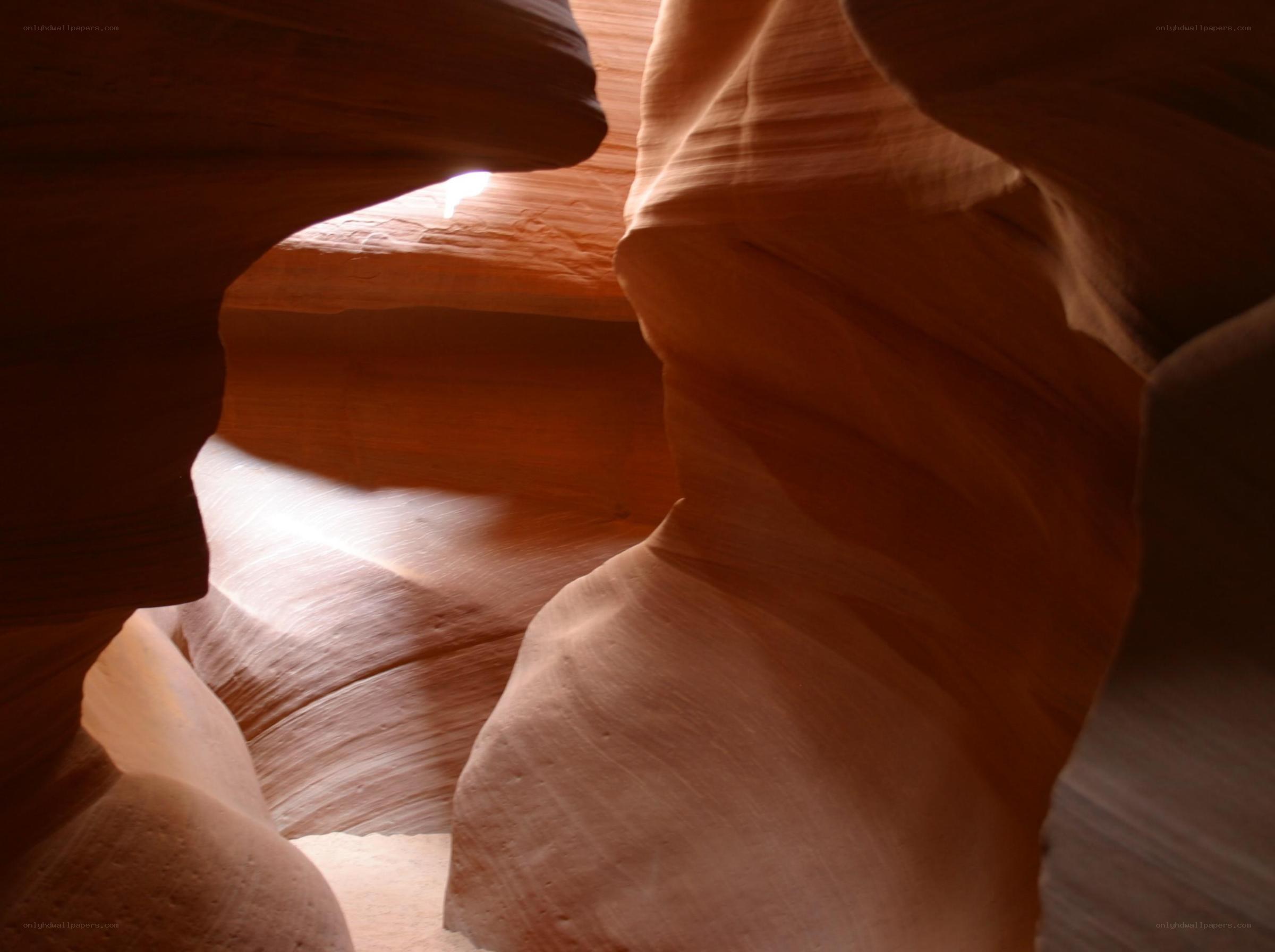 Sculpted sandstone canyon