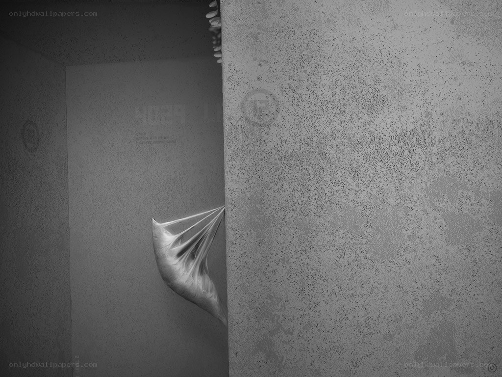 Sculptural form in a concrete space