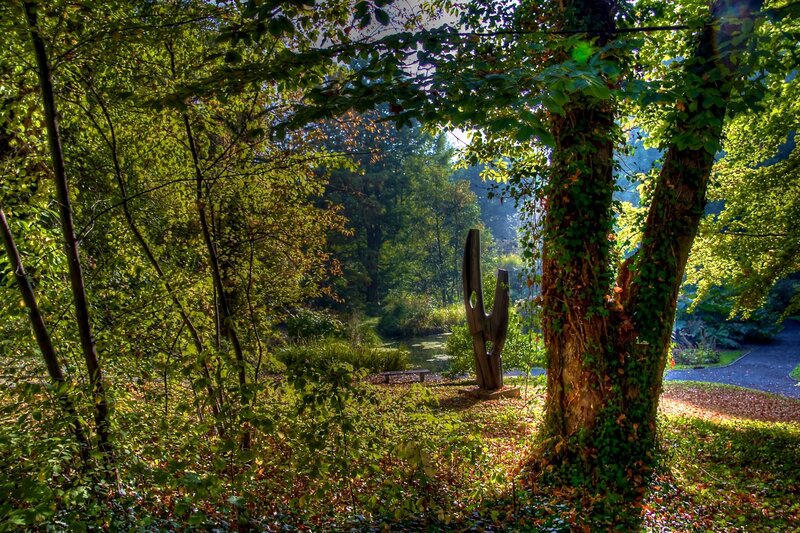 Sculpture in a sunlit forest