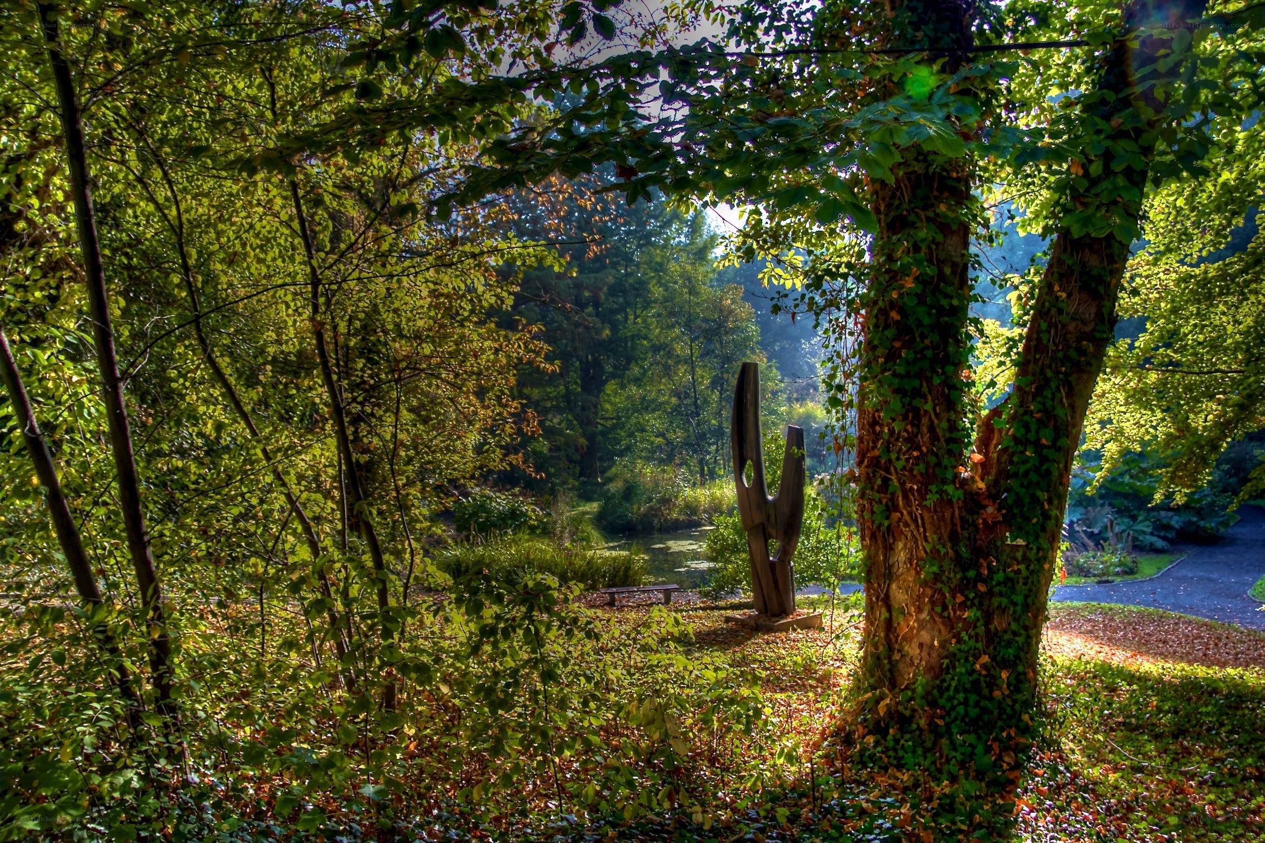 Sculpture in a sunlit forest