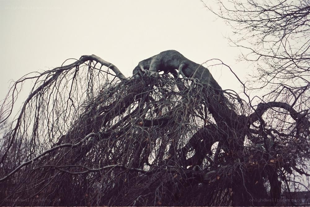 Sculpture on a tree branch