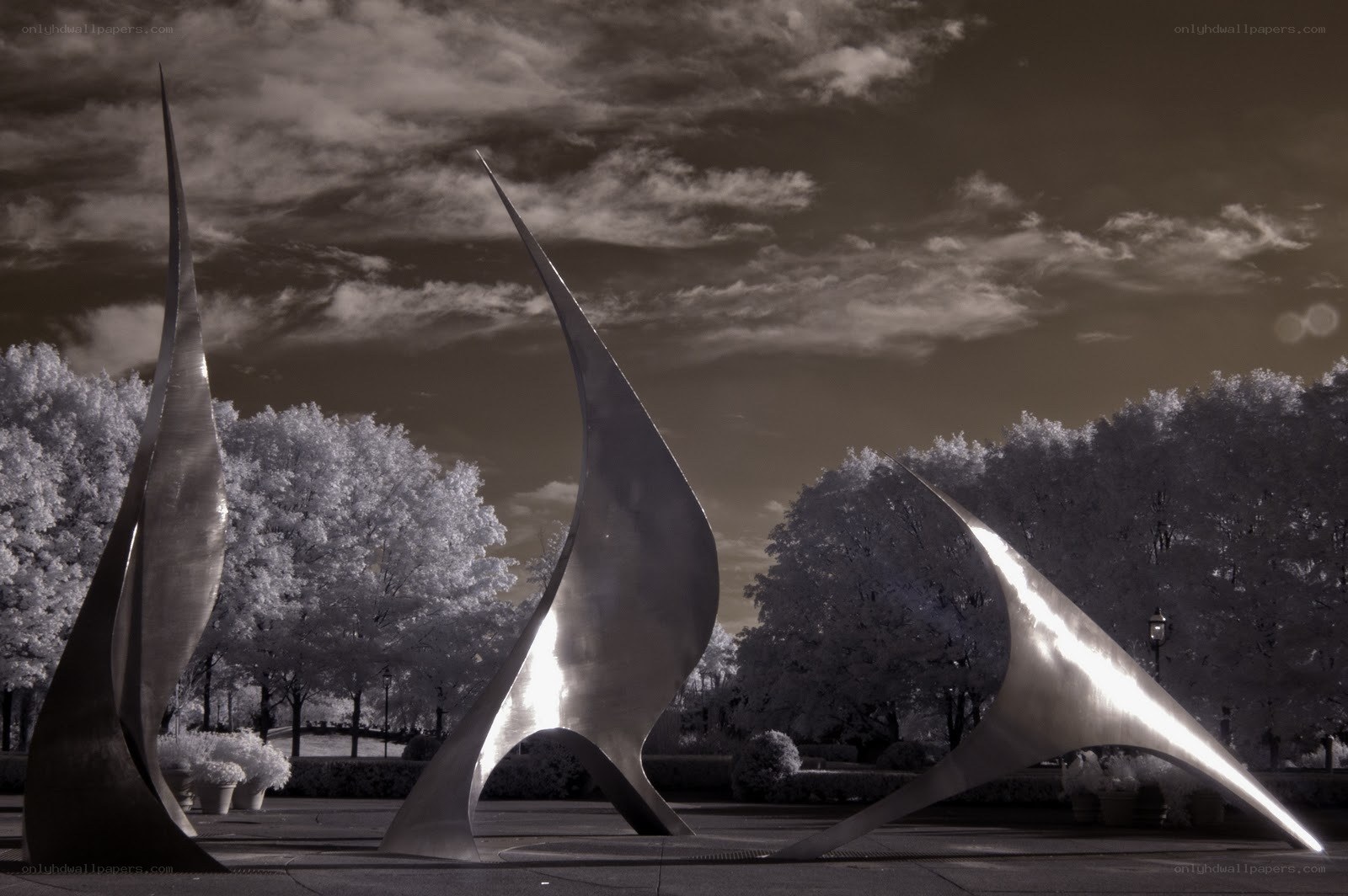 Sculptures in a park
