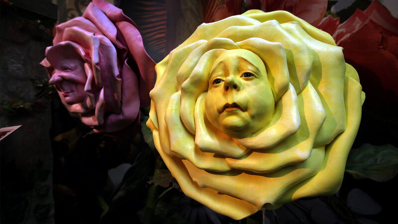 Sculptures of faces in roses
