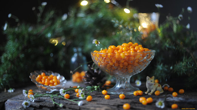 Sea Buckthorn Berries