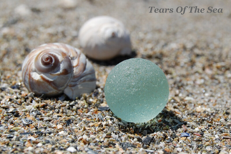 Sea Glass and Seashells