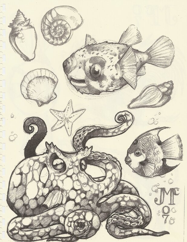 sea life pencil drawings