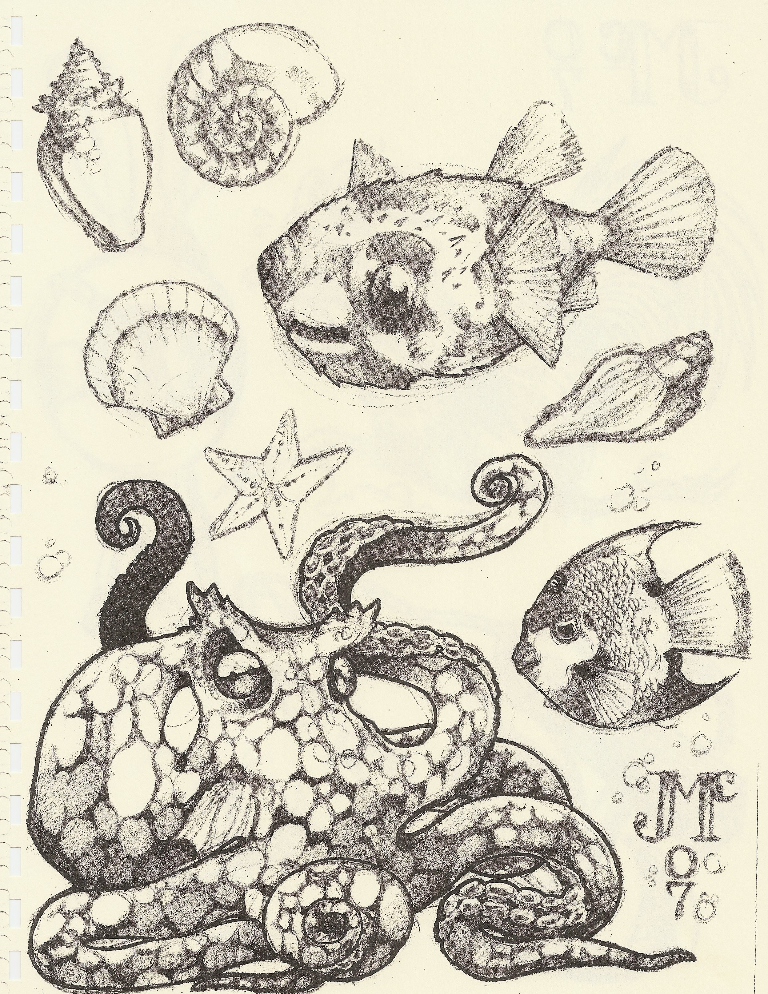 sea life pencil drawings