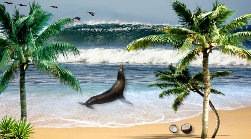 Sea Lion on Beach