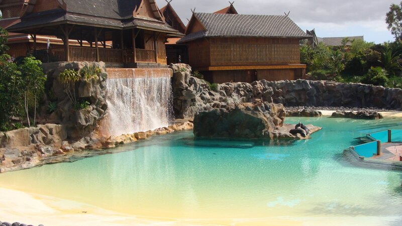 Sea Lion Pool
