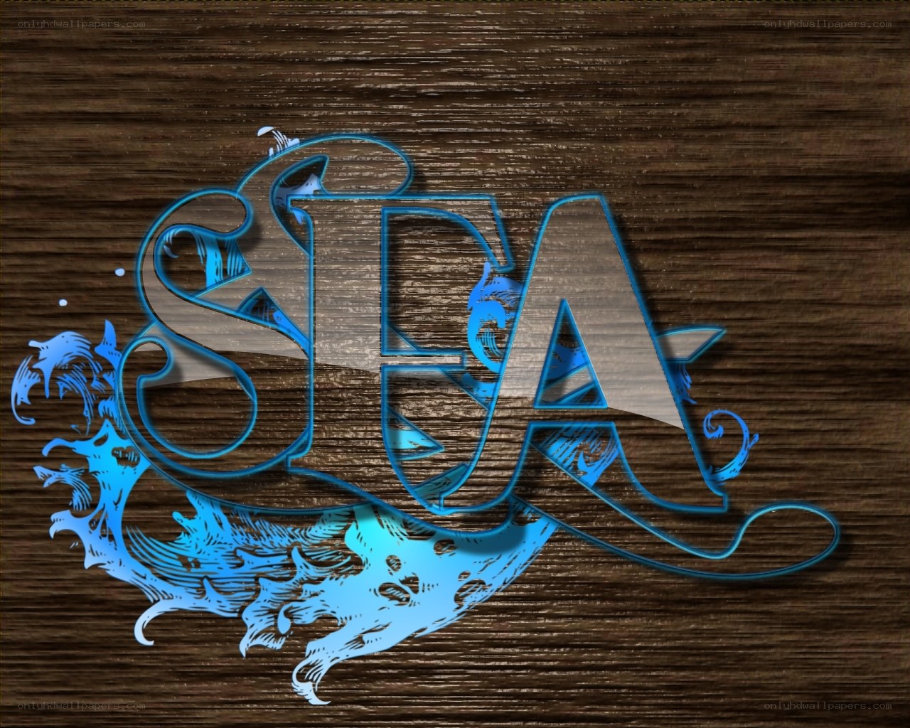 sea logo with wave design