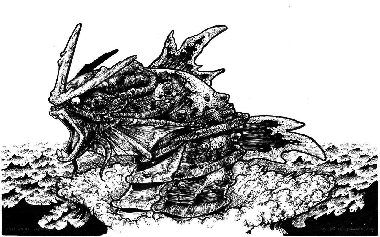 sea monster illustration