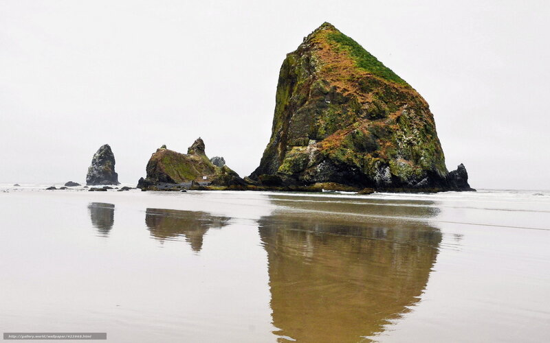Sea Stacks on Beach — Gray