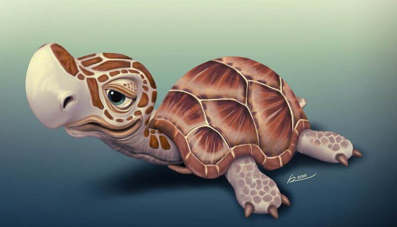 Sea Turtle Hatchling