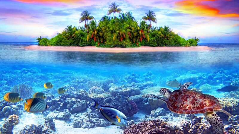 Sea Turtle in Coral Reef — Blue, Serene, Sunset