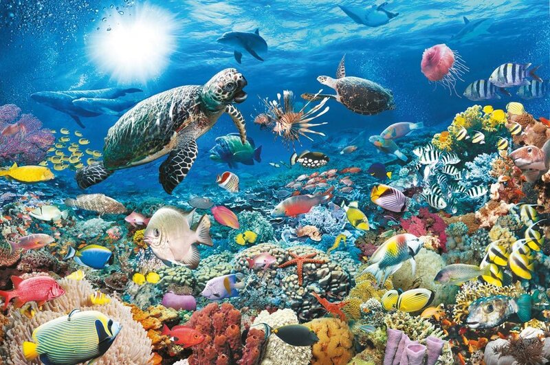 Sea Turtle in Coral Reef — Blue, Vibrant